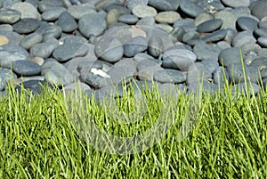 Rock bed with grass