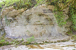 Rock in the bed of a mountain river