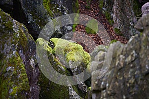 Rock boulders of different sizes, one of which is overgrown with intense green moss, in the sea of rocks at Hemer Felsenmeer