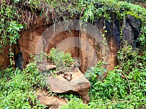 Rock broken into pieces as part of landslide in the eco sensitive area photo