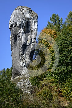 Rock called Maczuga Herkulesa in Poland