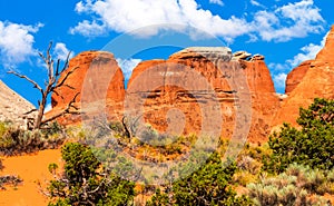 Rock Canyon Devils Garden Arches National Park Moab Utah