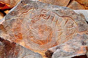 Rock Carving of Elephant