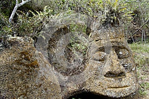 Rock Carving - Floreana Island - Galapagos photo