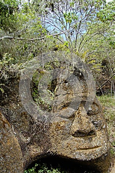 Rock Carving - Floreana Island - Galapagos photo