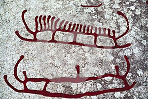 Rock Carvings