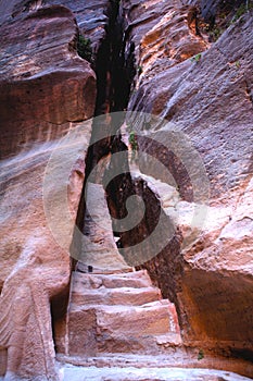 Rock Carvings The Siq Petra in the Kingdom of Jordan