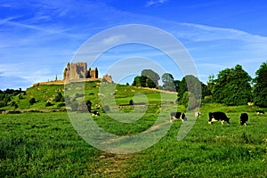 Rock of Cashel above green fields with cows, Tipperary, Ireland