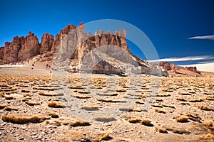 Rock cathedrals in Salar de Tara, Chile photo