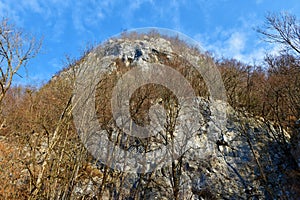Rock cliff bellow Osojnica mountain and above Bohinjska Bela
