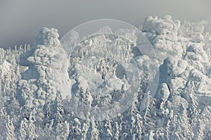 Rock cliff is covered with fluffy frost. Winter weather at top of mountain