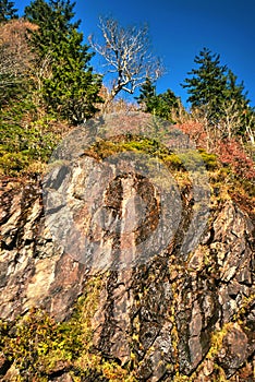 A rock cliff and trees in the fall in the North Carolina mountains.