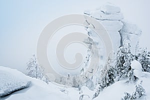 Rock cliff in winter forest is completely covered with hoarfrost. Sharp drop in temperature, trees on slope in frosty haze