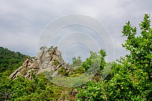 Rock cliffs in Wachau valley in Austria