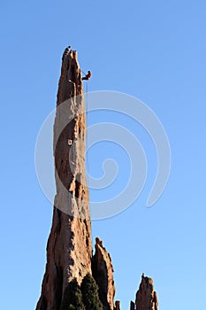 Rock Climber