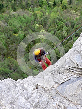 La roca alpinista gris la roca acantilado exuberante verde Bosque abajo 