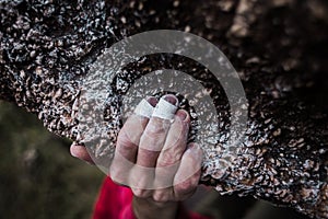 Rock climber`s hand holding a rock