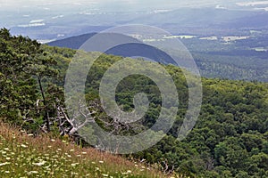 Rock Climbing and Hang Gliding area at Mount Magazine