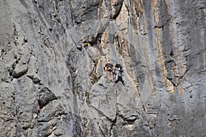Rock climbing in Paklenica national park