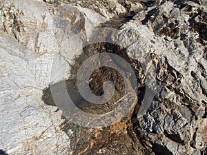 Rock is and a concave dish photo