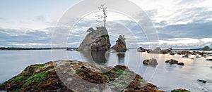 Rock with cormorant birds in the ocean