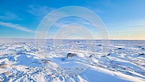 Rock covered arctic tundra