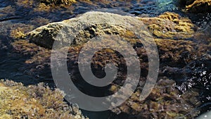 Rock covered with moss and algae washed by foam waves in the sea or ocean