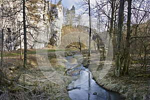 rock and creek in early spring on a sunny day