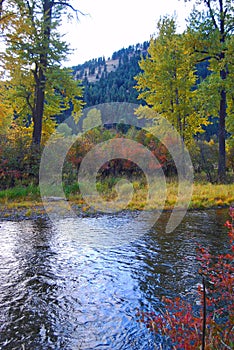 Rock Creek, Montana, Fall Colors.