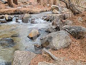 Rock Creek in the Owens Valley