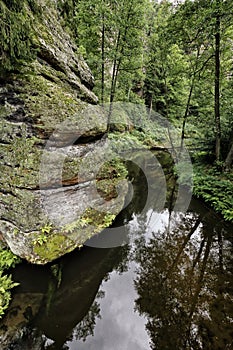 Rock by the curved river in the forest