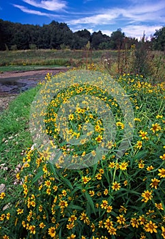 Rock Cut State Park - Illinois