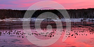 Rock Cut State Park Sunset