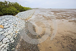 Rock dam protection sea mangrove form natural sea storm damage f