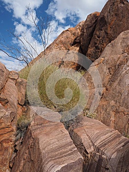 Rock detail at the slopes of Mount Gillen