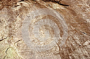 Rock Drawings in Valcamonica - labyrinth 1