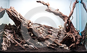 rock and driftwood hardscape arrangement photo