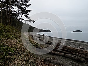 Rock and driftwood shoreline in washington state overlooking the puget sound