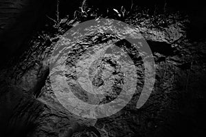 Rock eith face like elements