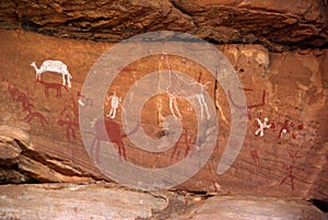 Rock engraving, Libya photo