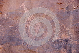 Rock engraving, Libya