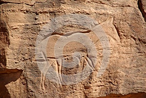 Rock engraving, Libya