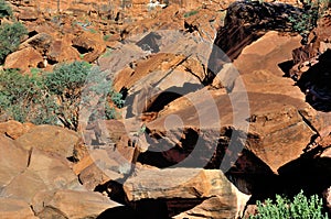 Rock engravings at Twyfelfontein, Namibia