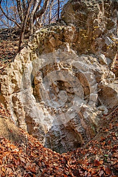 A rock with an entrance to the cave in the woods