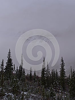 Rock face of Mount Edith Cavell viewed through gap in the thick fog on cloudy morning in autumn in Jasper National Park, Canada.