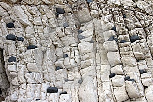 Rock face pebbles photo