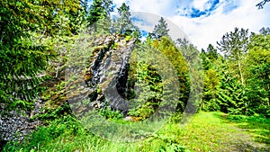 Rock feature along the hiking trail to Whitecroft Falls in British Columbia, Canada