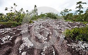 Rock field in Phu Hin Rong Kla national park in Thailand