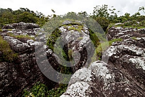 Rock field in Phu Hin Rong Kla national park in Thailand