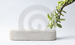 Rock floor display stand for advertising with small plants copy space